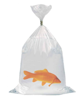 Fischtransportbeutel 500 x 1000 mm speziell für große Fische