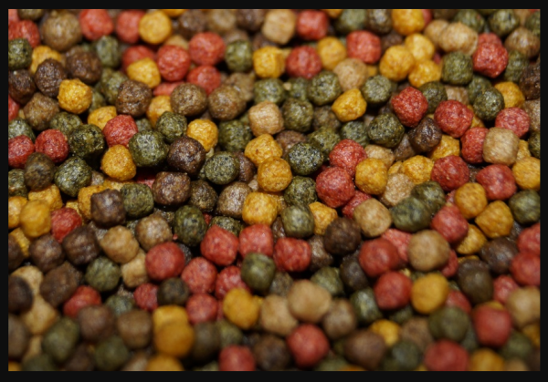 Koifutter "Multi Mix" Ganzjahresfutter für Koi und Teichfische