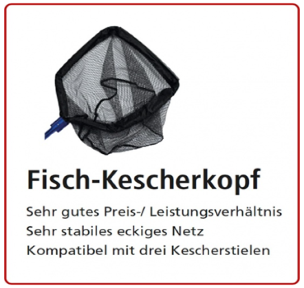 Fisch-Kerscherkopf eckig 40 x 40 cm 35 cm tief