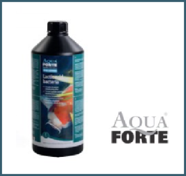 AquaForte Milchsäurebakterien Inhalt 1 Liter