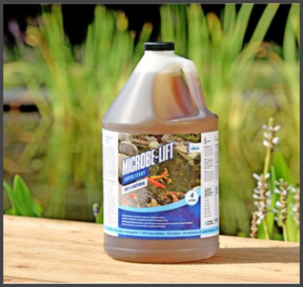 MICROBE-LIFT SUPER START (BEAD) Filter Bakterien